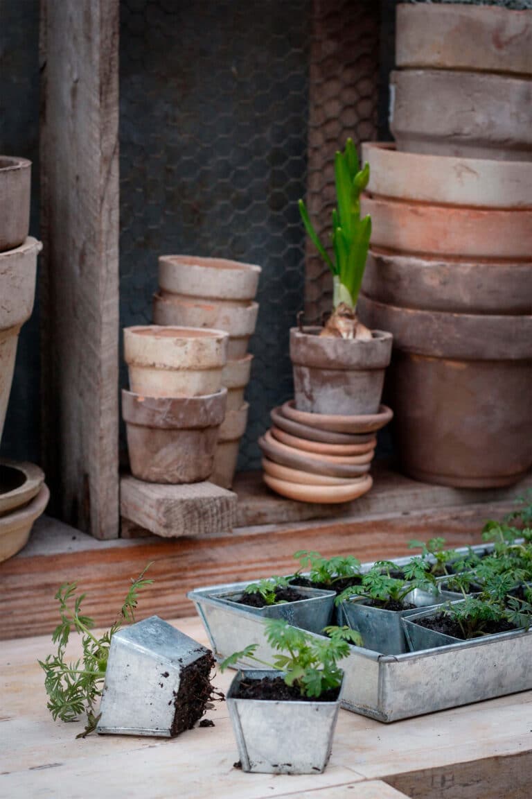 POT_OLE_print-1-min (1)