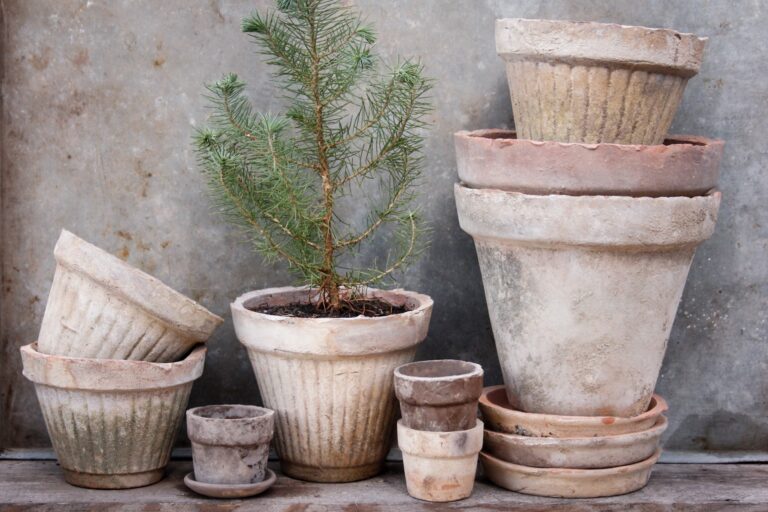 Små terracottapotter i højeste kvalitet