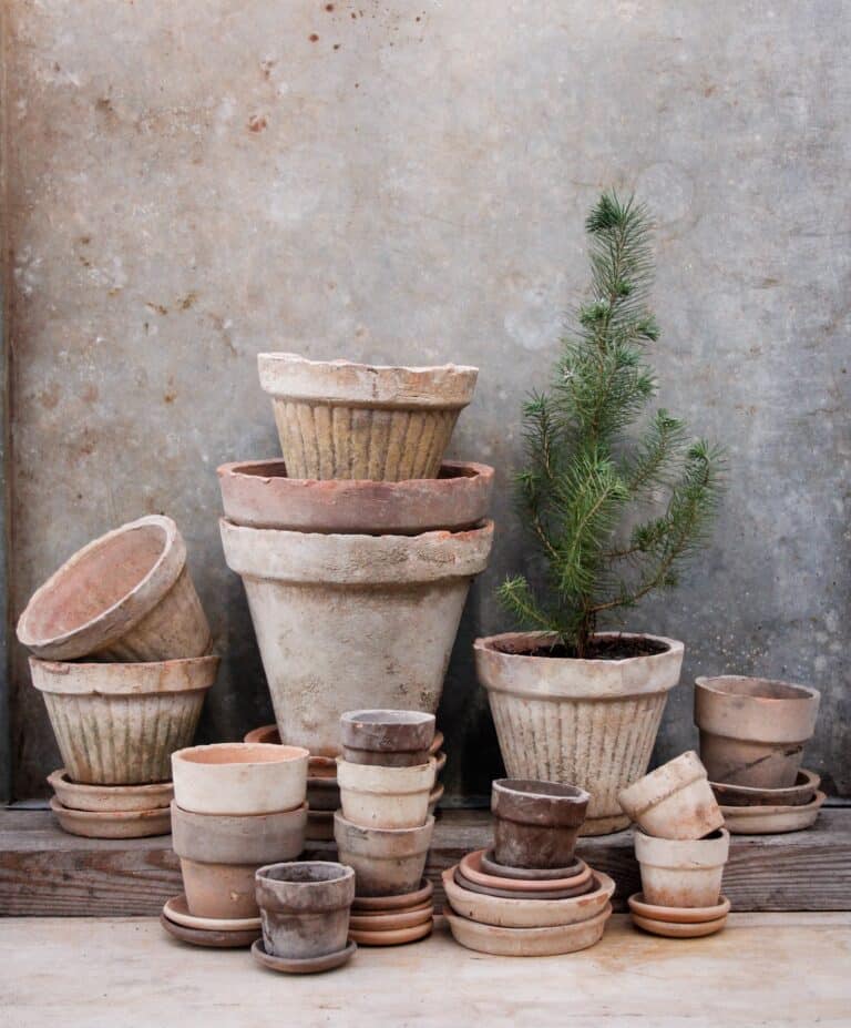populære og smukke små terracottapotter