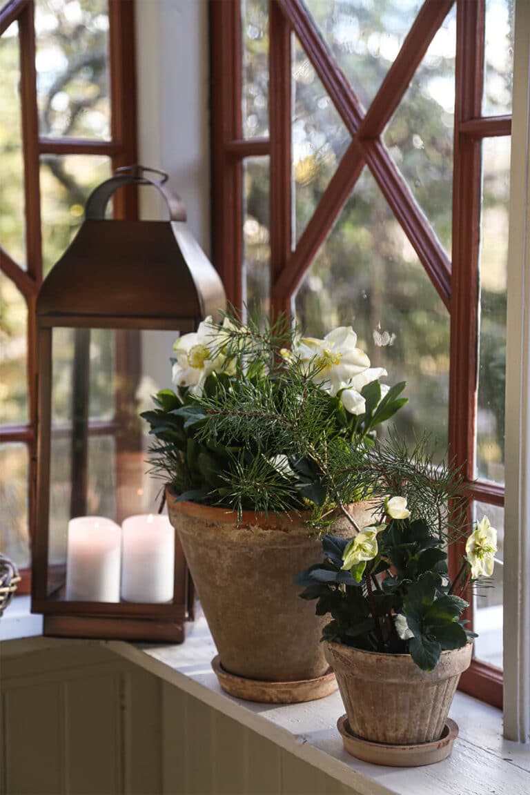 unikke og antikke blomsterkrukker